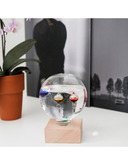 Galileo Thermometer 4