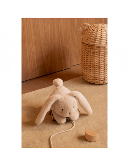 Pera Rabbit Pull Along Toy Mist 2