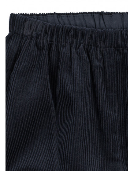 Sully Pants Total Eclipse 3