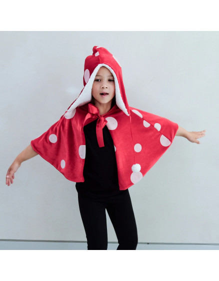 Toadstool Sress-up Set 4