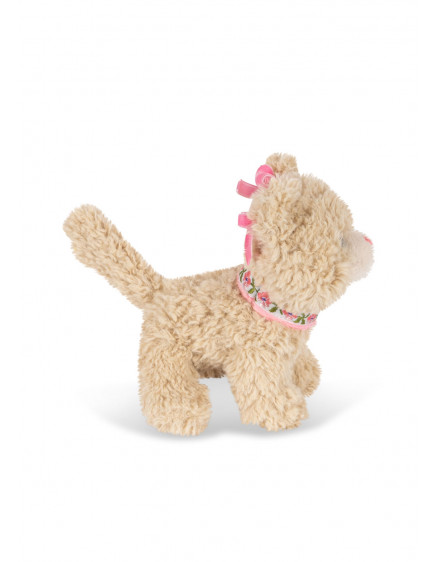 Activity Kitty Cat 3