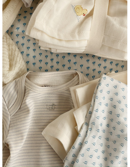 Боді Fio Tea Stripe Gray 6