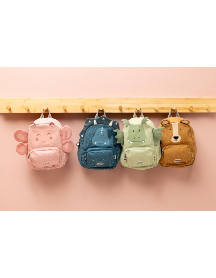 Рюкзак Mr. Dragon 6