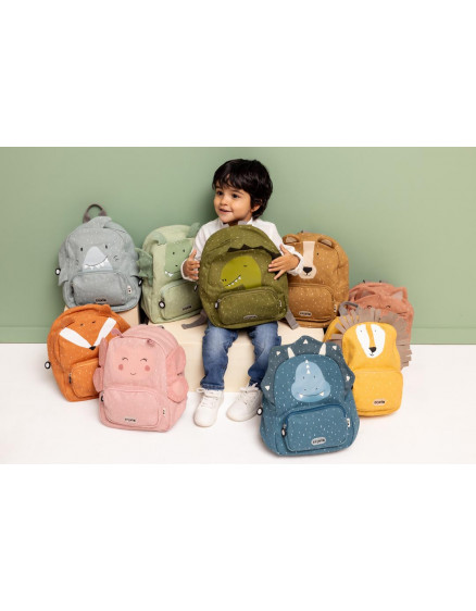 Рюкзак Mr. Dragon 3