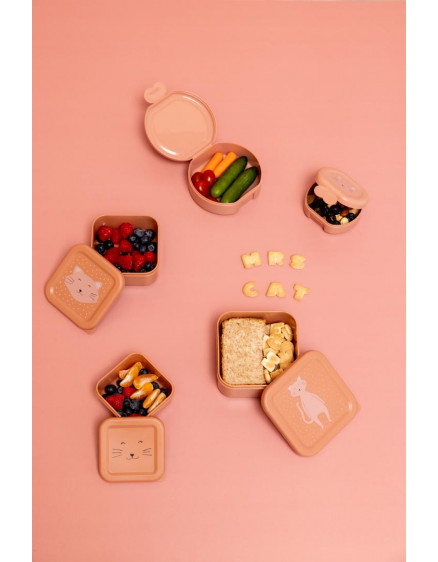 Snack box with clip 2pcs Mrs. Cat  6
