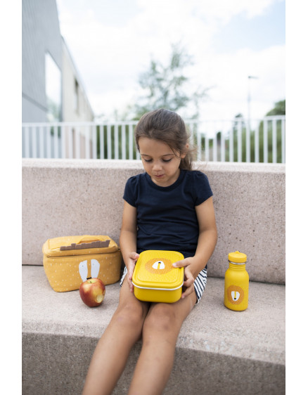 Lunch box small Mr. Lion 3