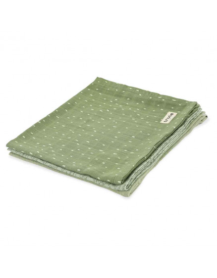 Muslin cloths 3-pack 55x55cm Daring Dino
