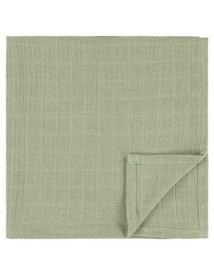 Muslin cloths 3-pack 55x55cm Daring Dino 4