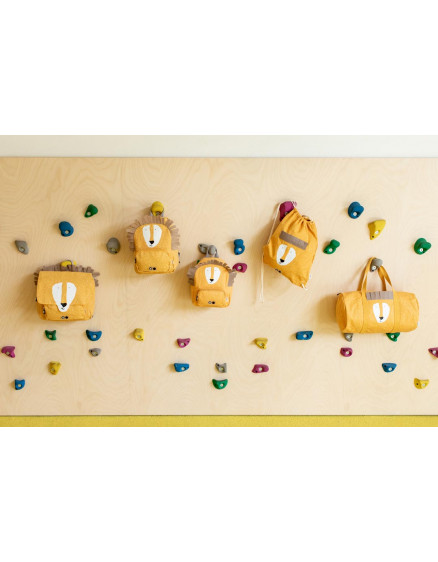 Рюкзак Mr. Lion Small 6