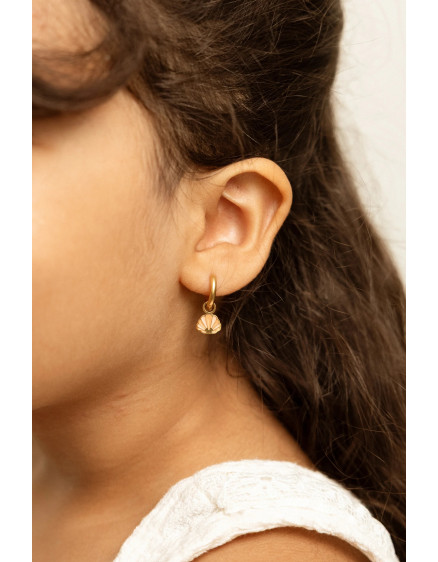 Charms Golden Shell 2