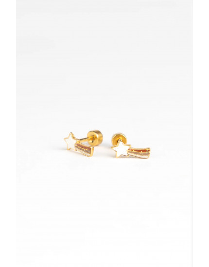 Studs Earrings Starlight