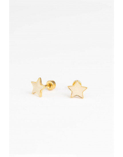 Studs Earrings Twinkle Star