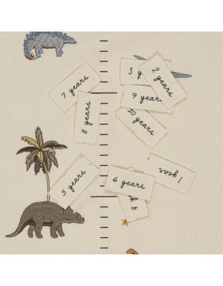 How Tall Am I Now Dino 5