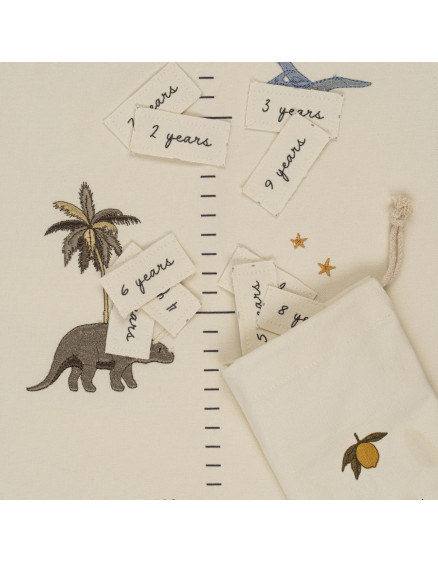 How Tall Am I Now Dino 3