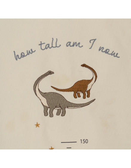 How Tall Am I Now Dino 2