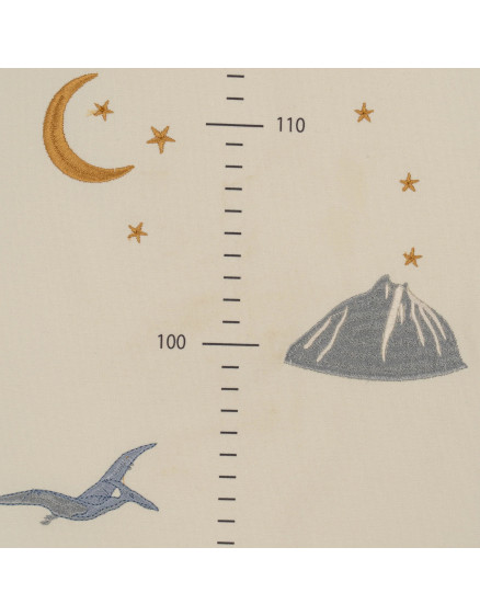 How Tall Am I Now Dino 6