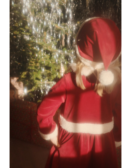 Christmas Dress Red Dahlia 7