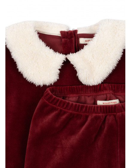 Christmas Set Red Dahlia 4