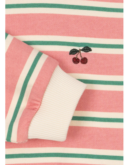 Spotty Polo Blush Bound Stripe 2