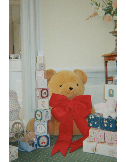 Teddy Unicorn Multi 4