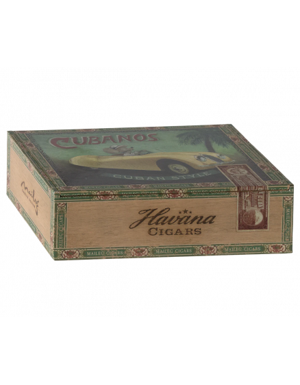 Grandma & Grandpa Mice in Cigarbox 8