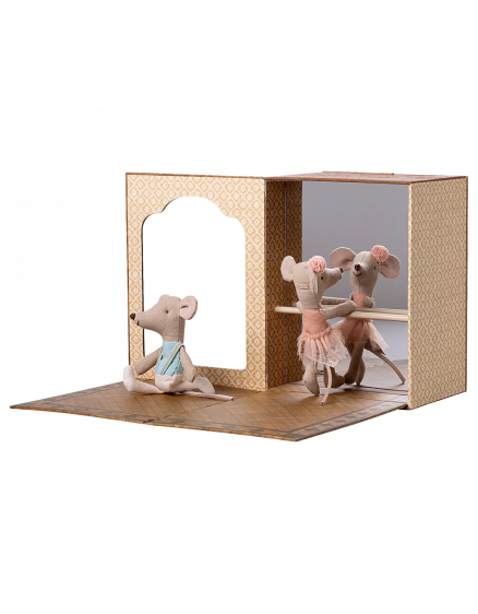 Ballet Mice in dance studio Little Sister and Brother