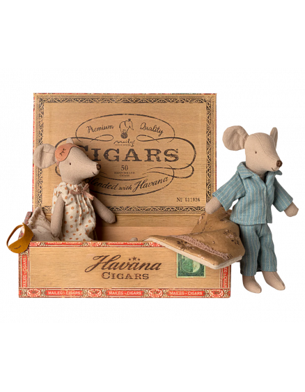 Mum & Dad Mice in Cigarbox 3