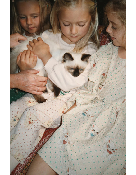 Elin Bow Dress Dot Miao Mist 8