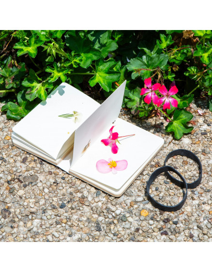 Блокнот для квітів Field Flower 2