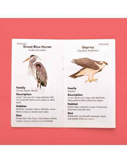 Бінокль Huckleberry 3