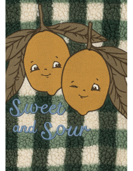 Jody Teddy Jacket GRS Green Check 4