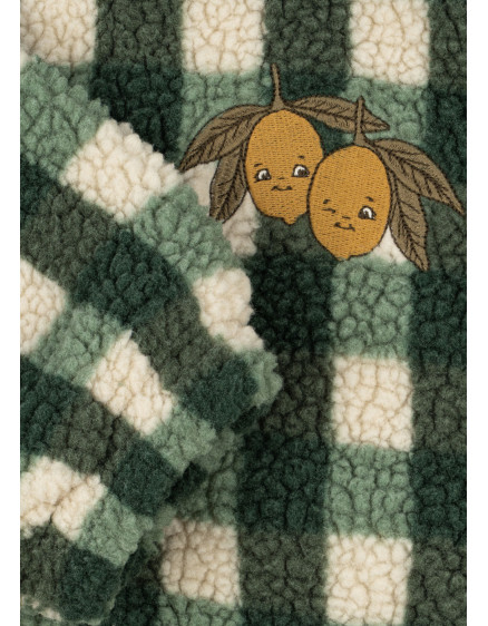 Jody Teddy Jacket GRS Green Check 2