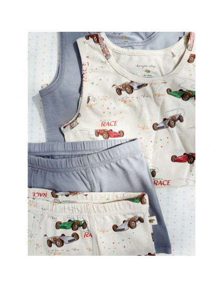 2 х Боксери Grand Prix 3