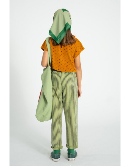 Штани Green Indigo Stripes 4