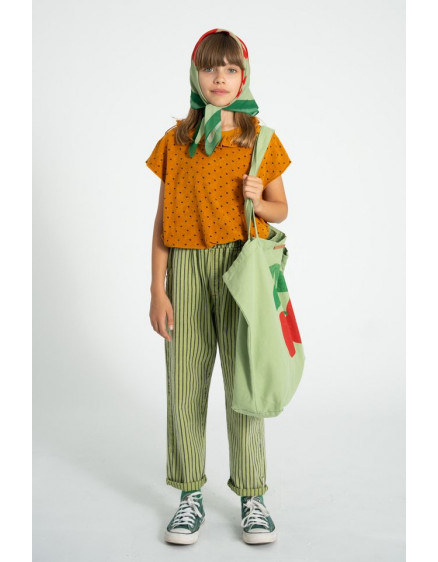 Штани Green Indigo Stripes 5