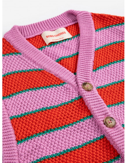 Жилет BC Striped Purple 3