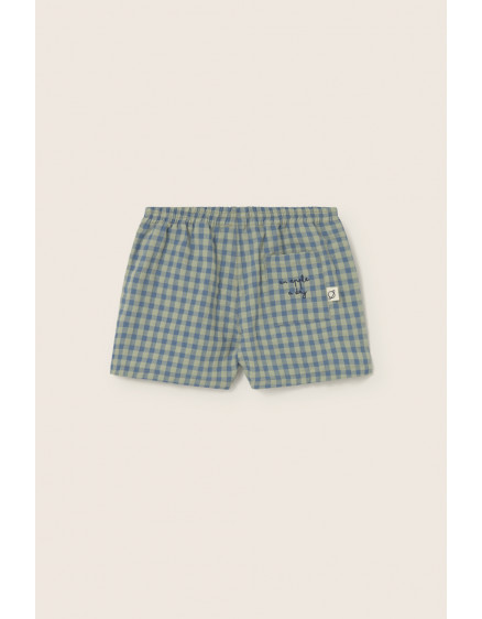 Шорти Gingham Blue Kanye 4