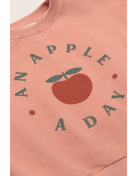 Світшот Ruffle Baby Rose Liana 2