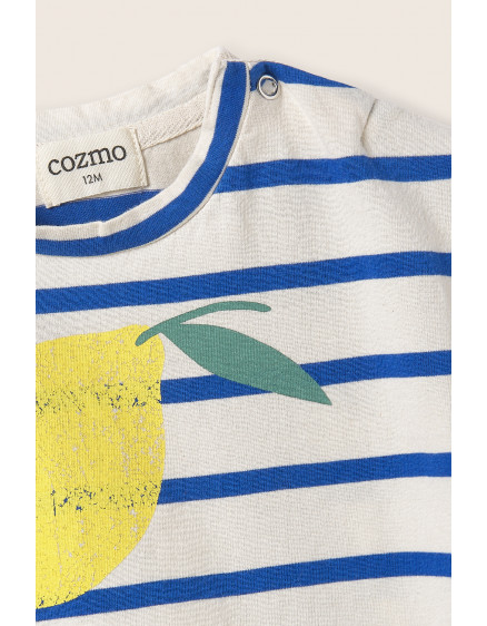 Striped Jersey Baby T-shirt Ivory Aran 3