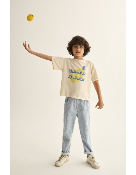 Джинси Striped Denim Blue Echok 5