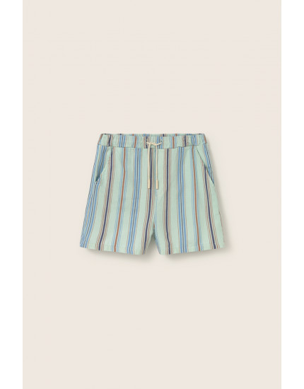 Шорти Striped Aqua Zion