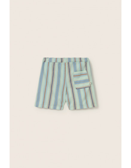 Шорти Striped Aqua Zion 3