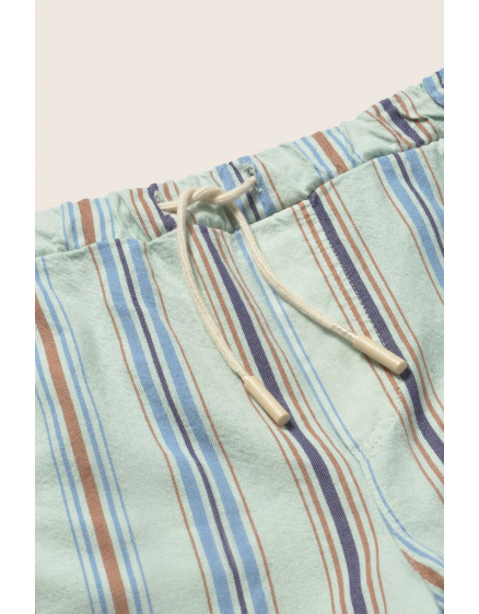 Шорти Striped Aqua Zion 2