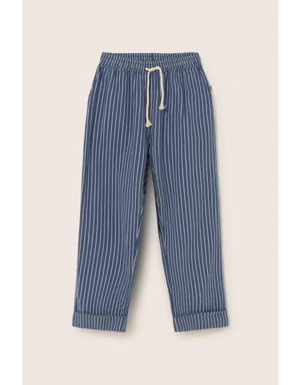 Штани Striped Navy Aero