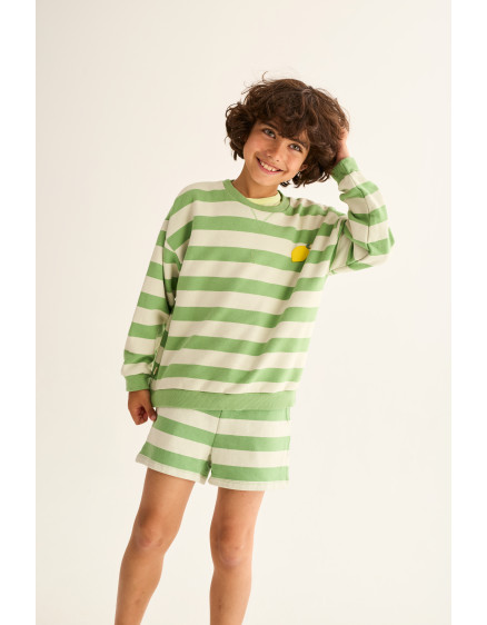 Шорти Striped Green Orion 2