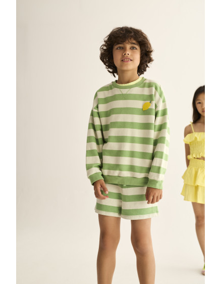 Шорти Striped Green Orion 3