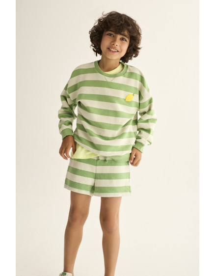 Світшот Striped Green Dan 2