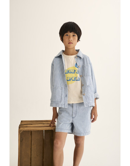 Striped Denim Jacket Blue Ridge 3