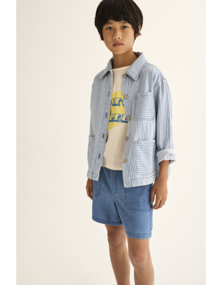 Striped Denim Jacket Blue Ridge 5