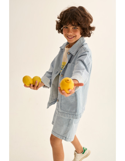 Striped Denim Jacket Blue Ridge 2